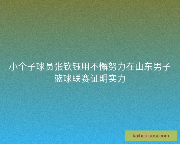 小个子球员张钦钰用不懈努力在山东男子篮球联赛证明实力